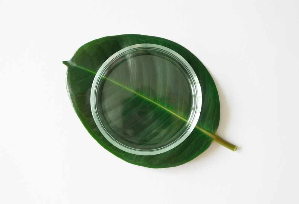 جودة المنتج